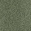 Shagreen 312905